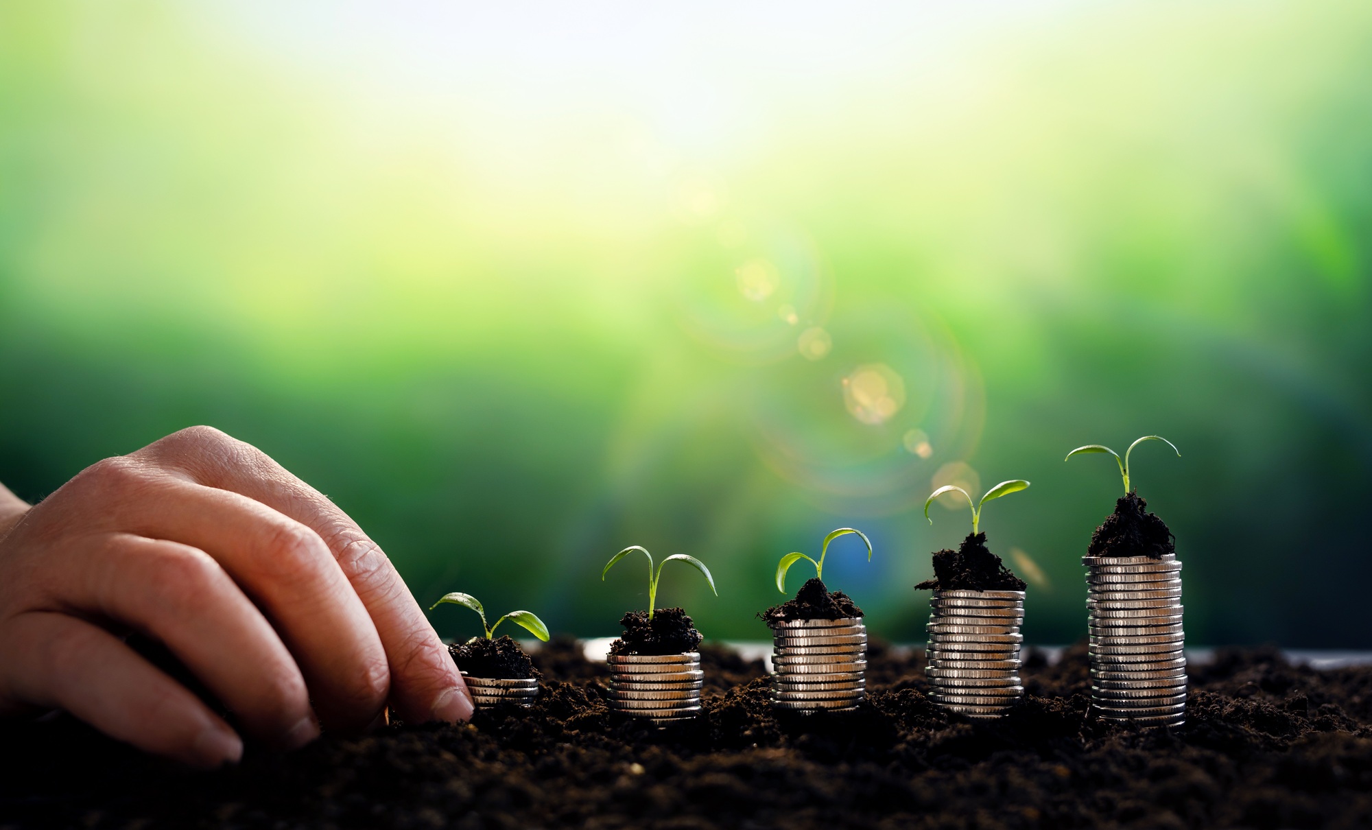 growth business